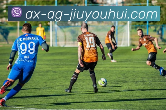 AG九游会官网APP 高清赛事图